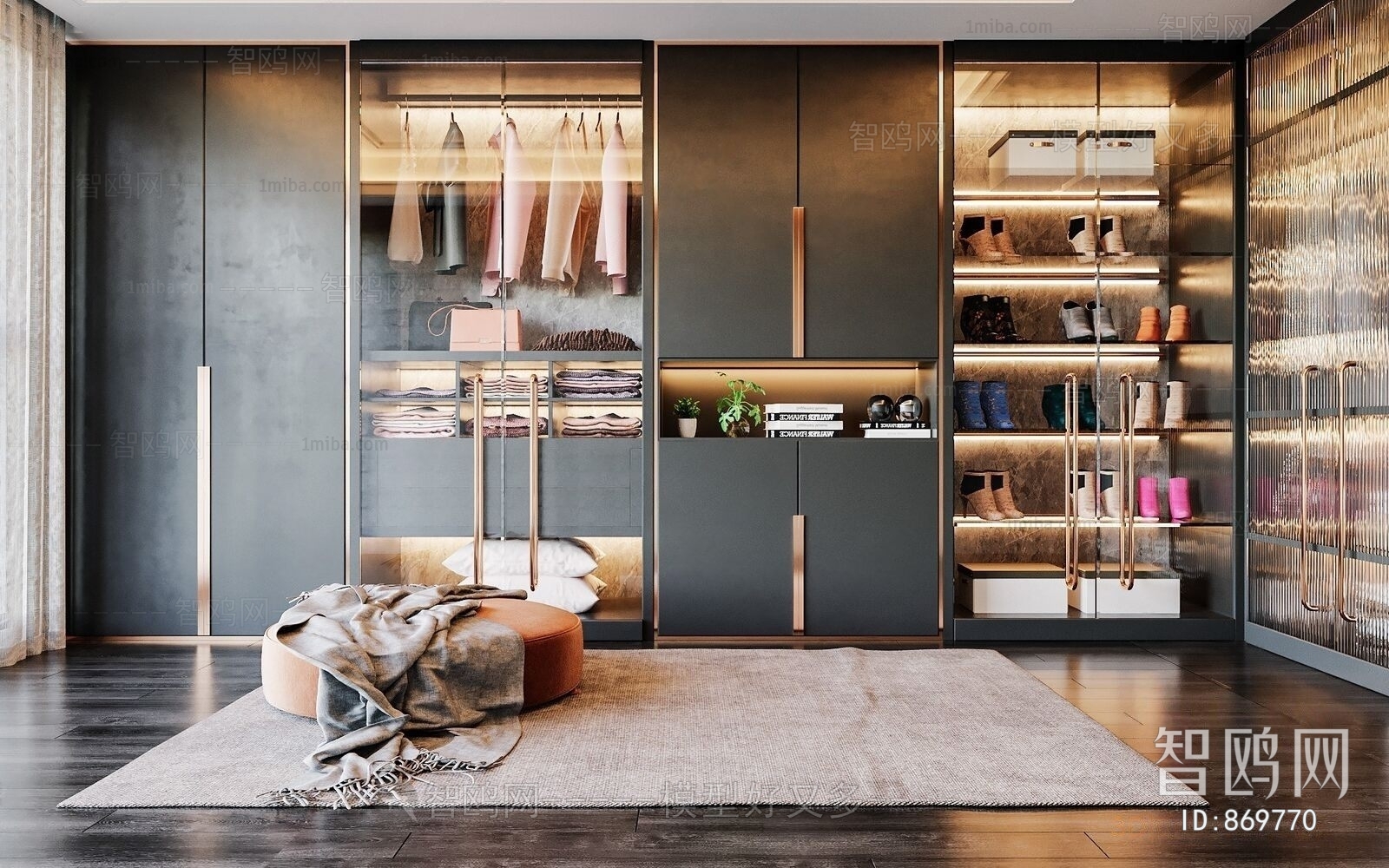 Modern Clothes Storage Area