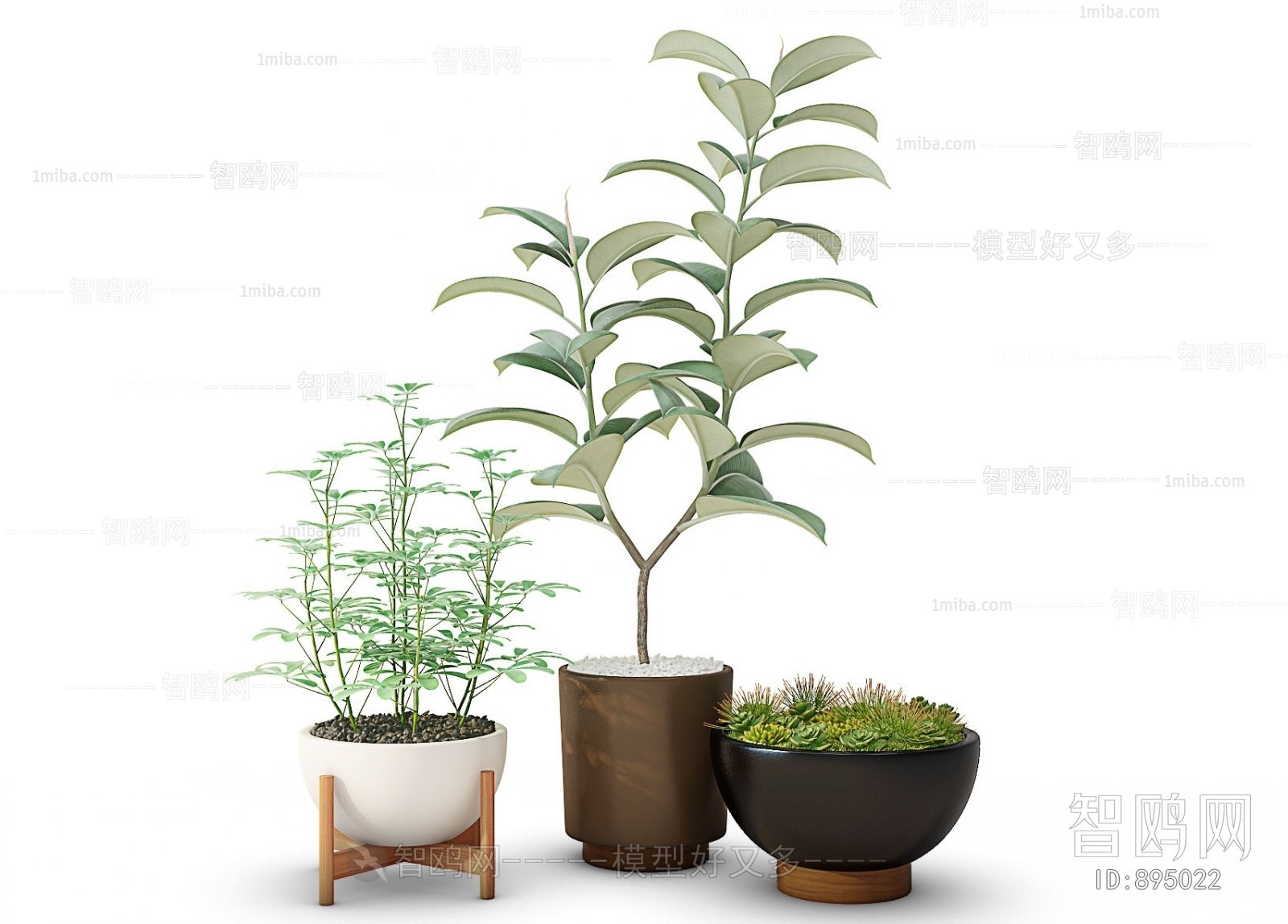 Modern Potted Green Plant