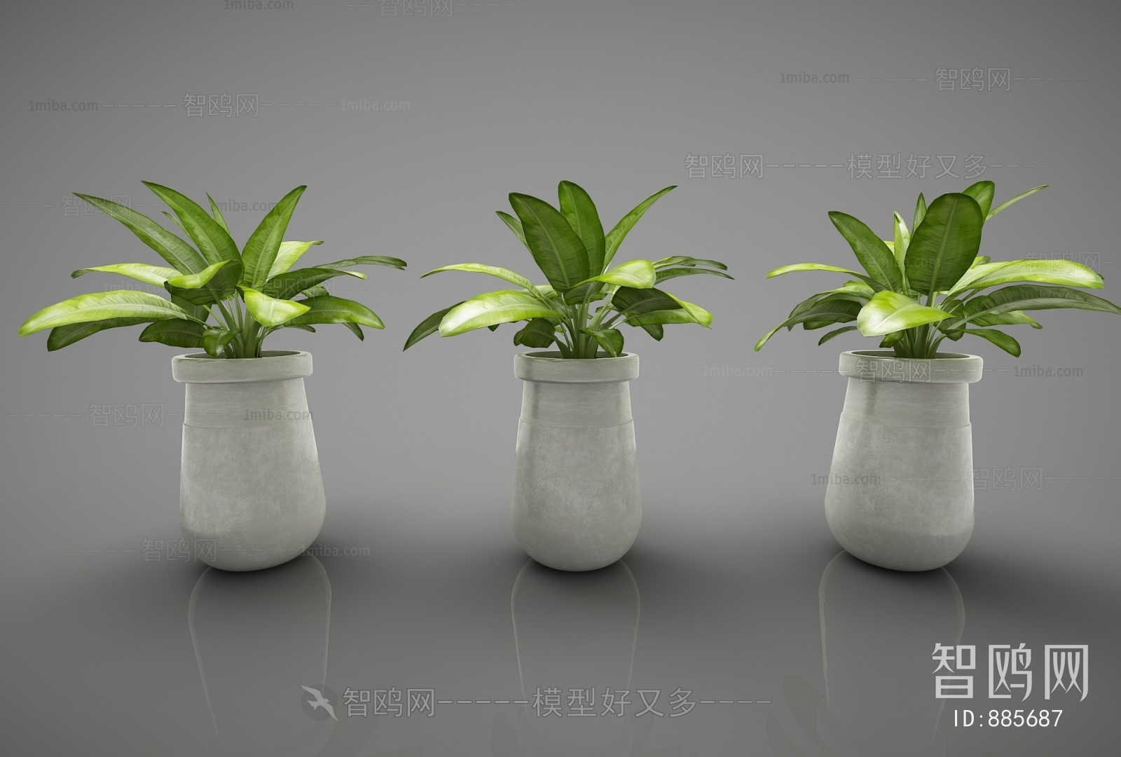 Modern Potted Green Plant