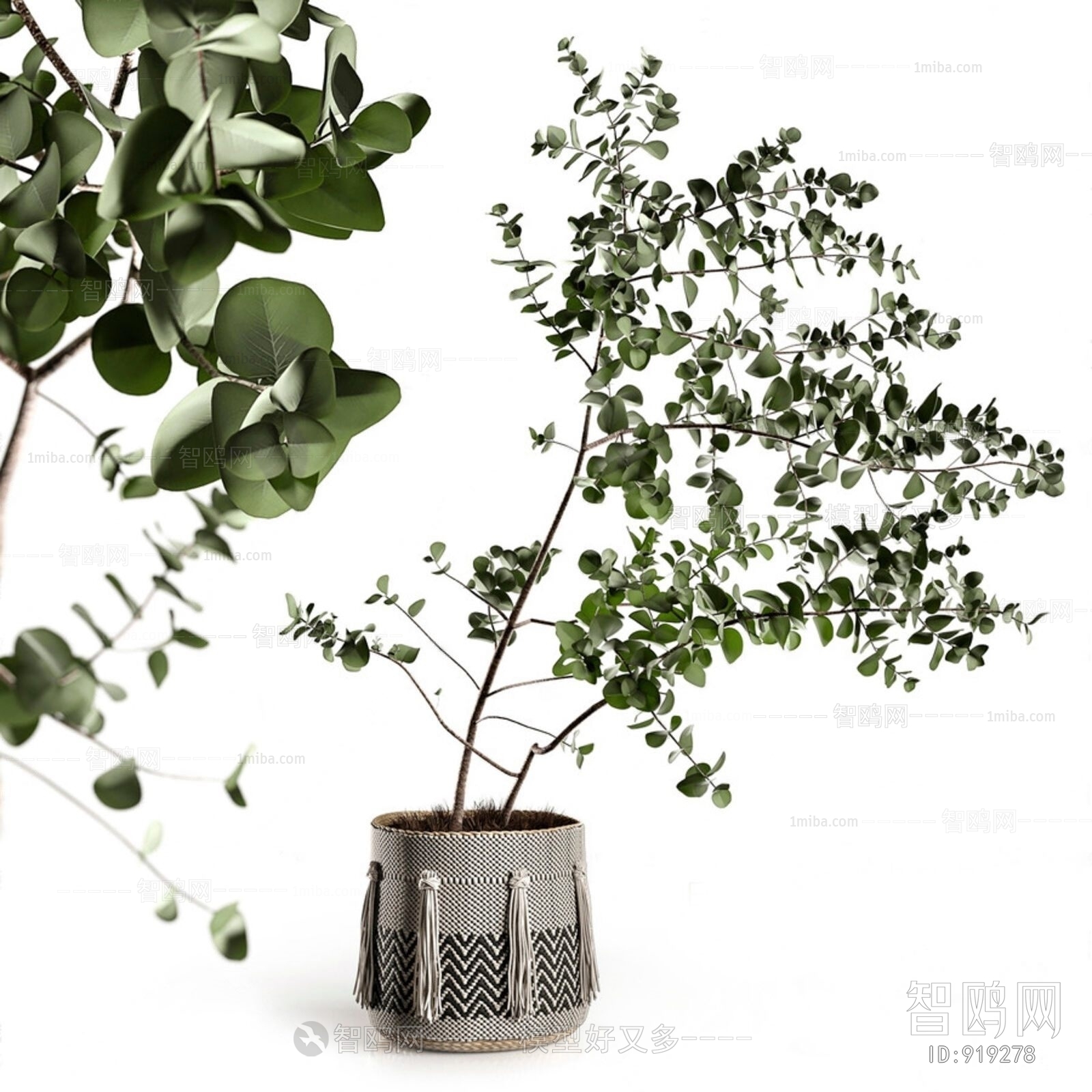 Modern Potted Green Plant