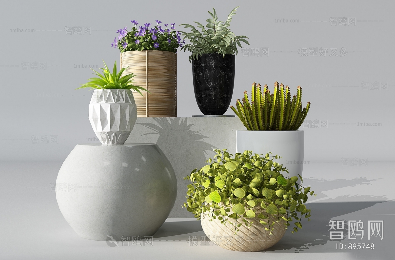 Modern Potted Green Plant