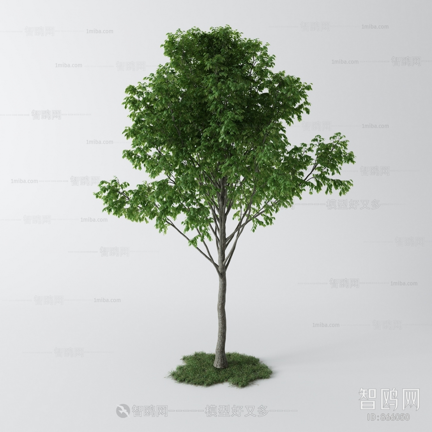 Modern Tree