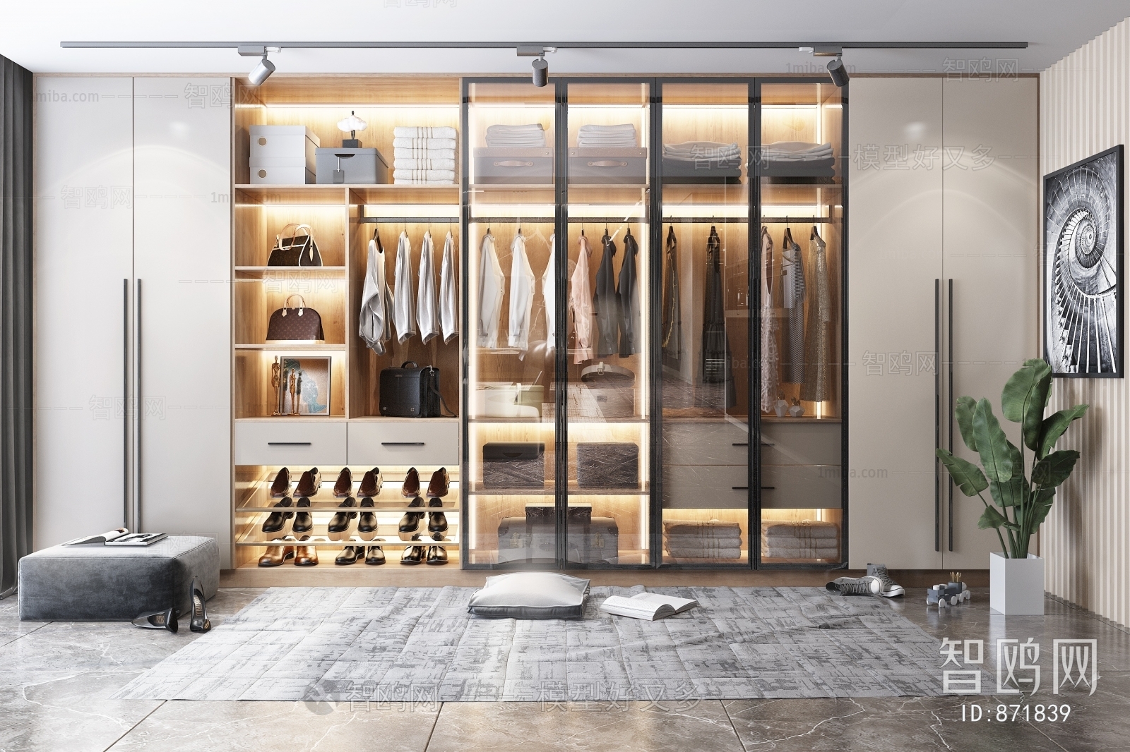 Modern Clothes Storage Area