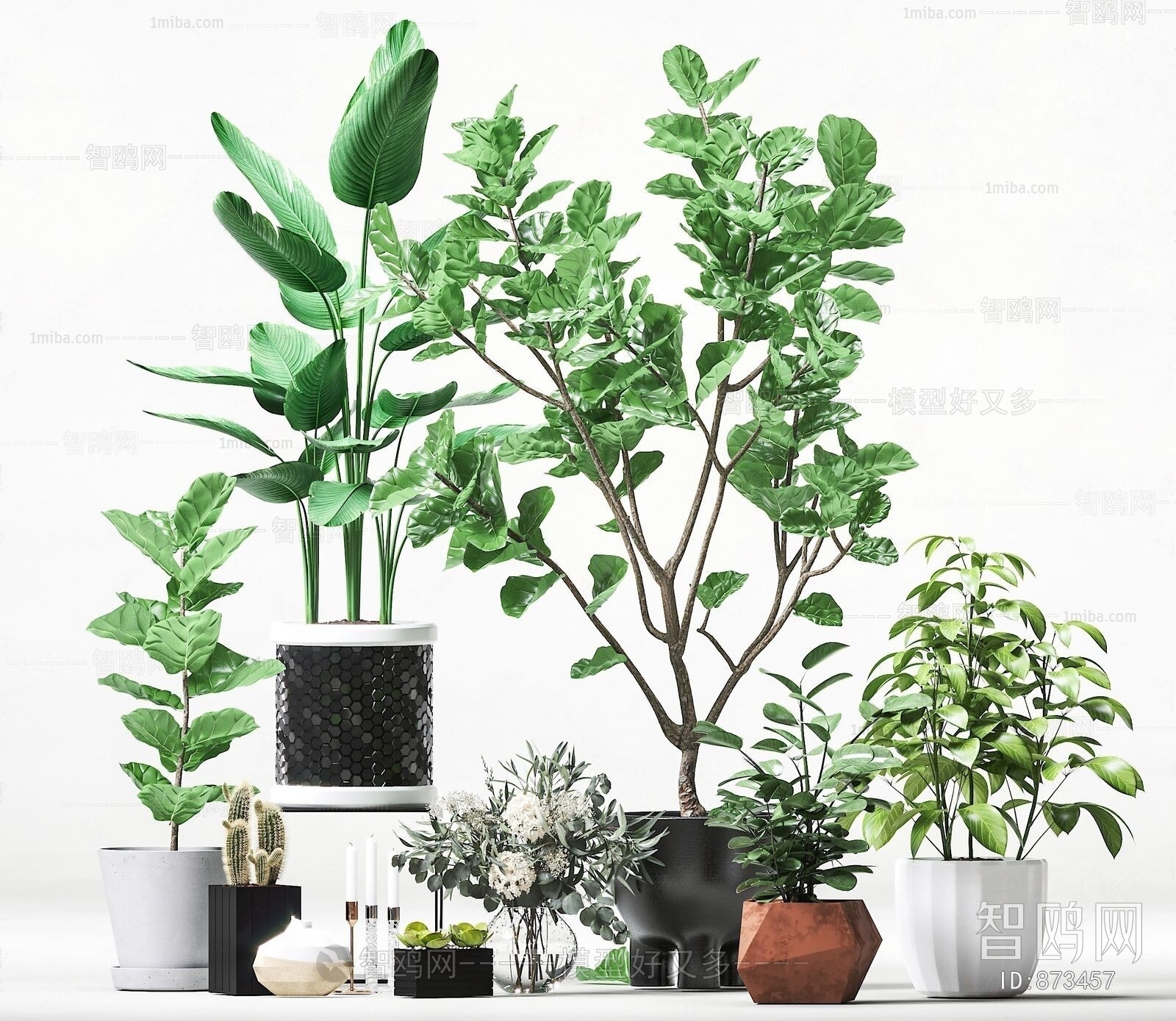 Modern Potted Green Plant