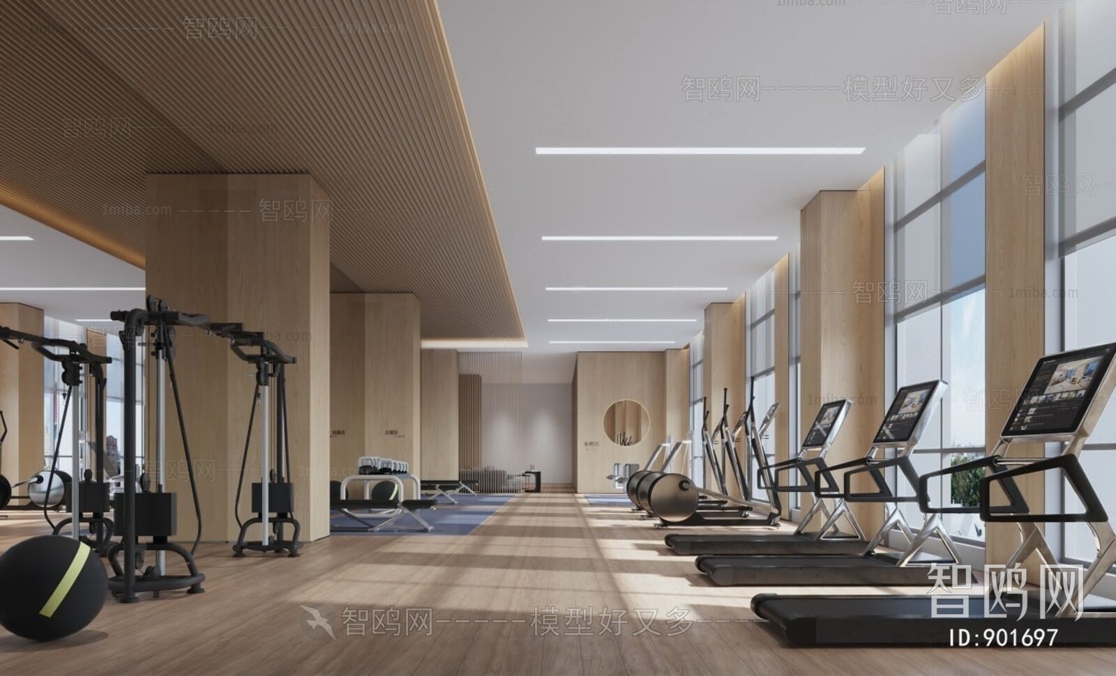 Modern Gym