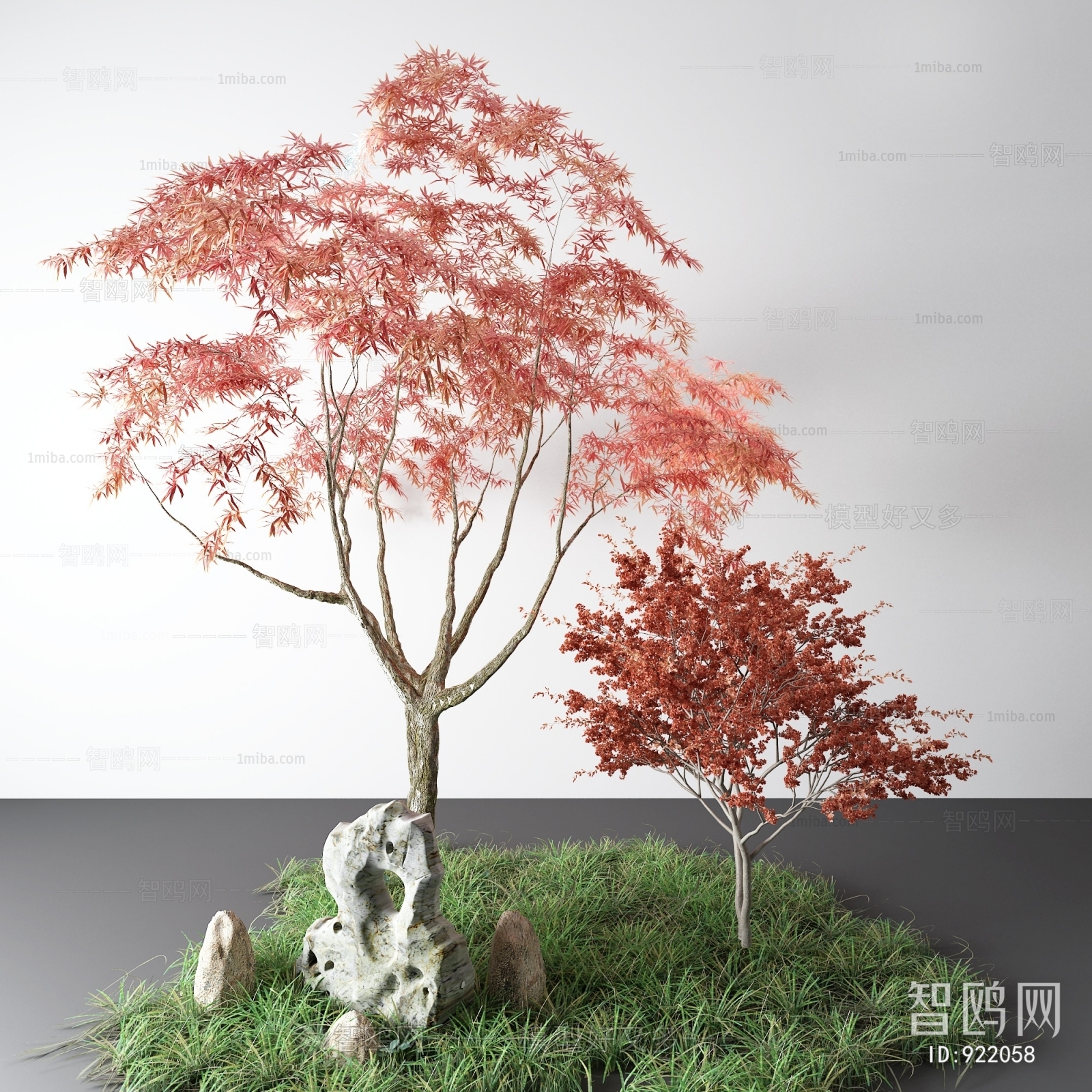新中式红枫树