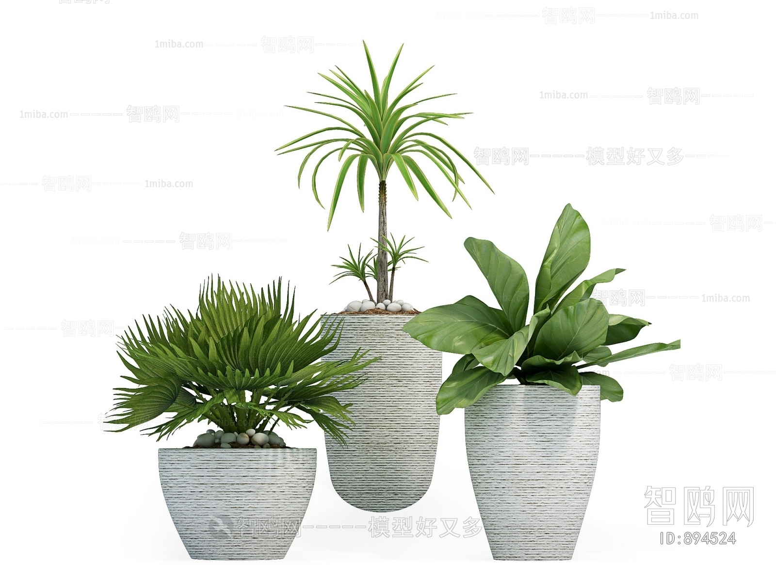 Modern Potted Green Plant