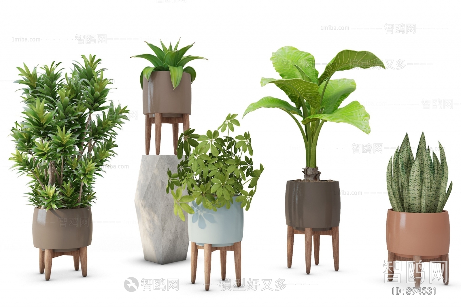 Modern Potted Green Plant