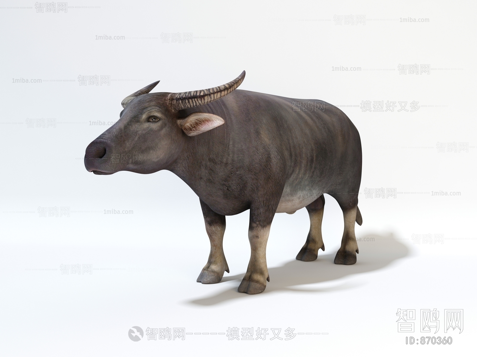 现代偶蹄动物野水牛