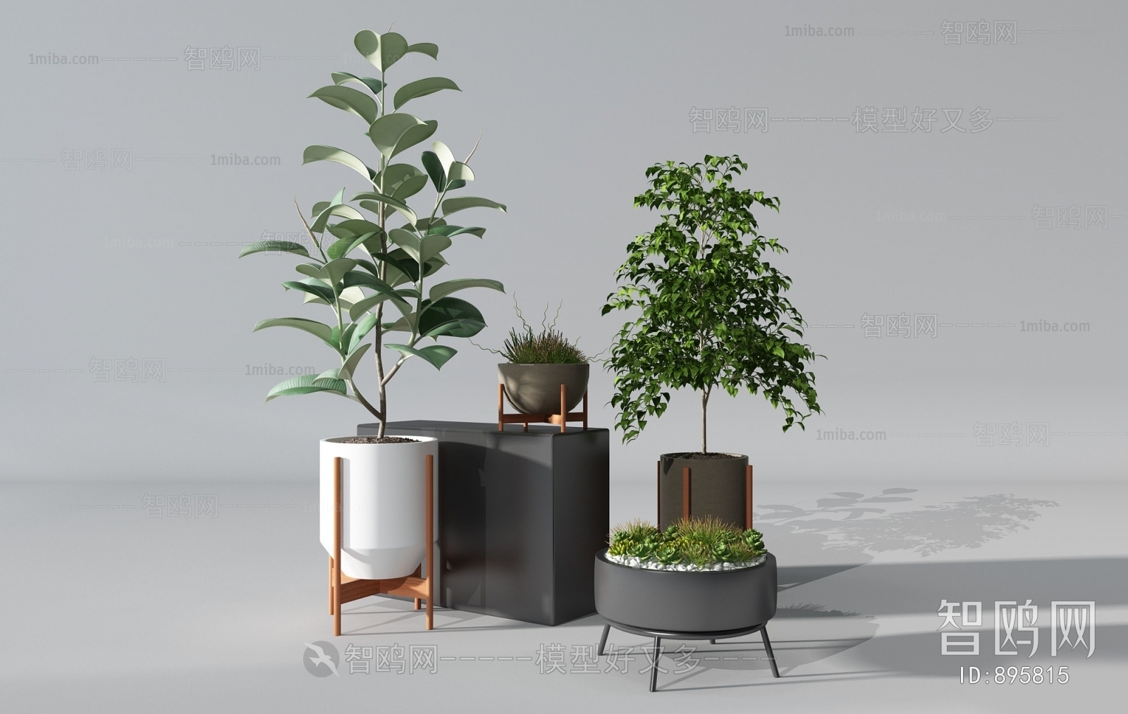 Modern Potted Green Plant