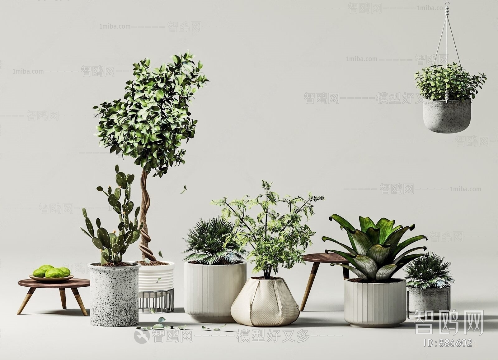 Modern Potted Green Plant