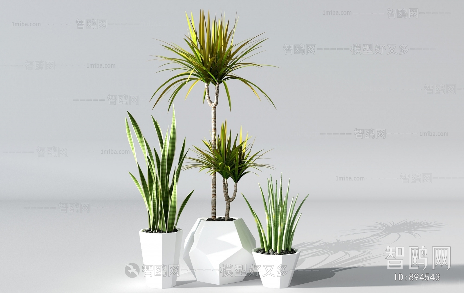 Modern Potted Green Plant