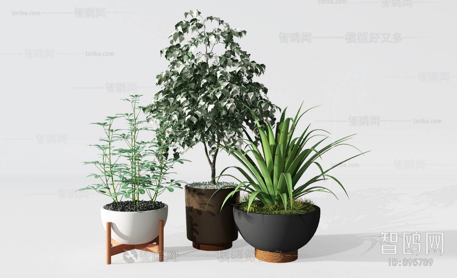 Modern Potted Green Plant