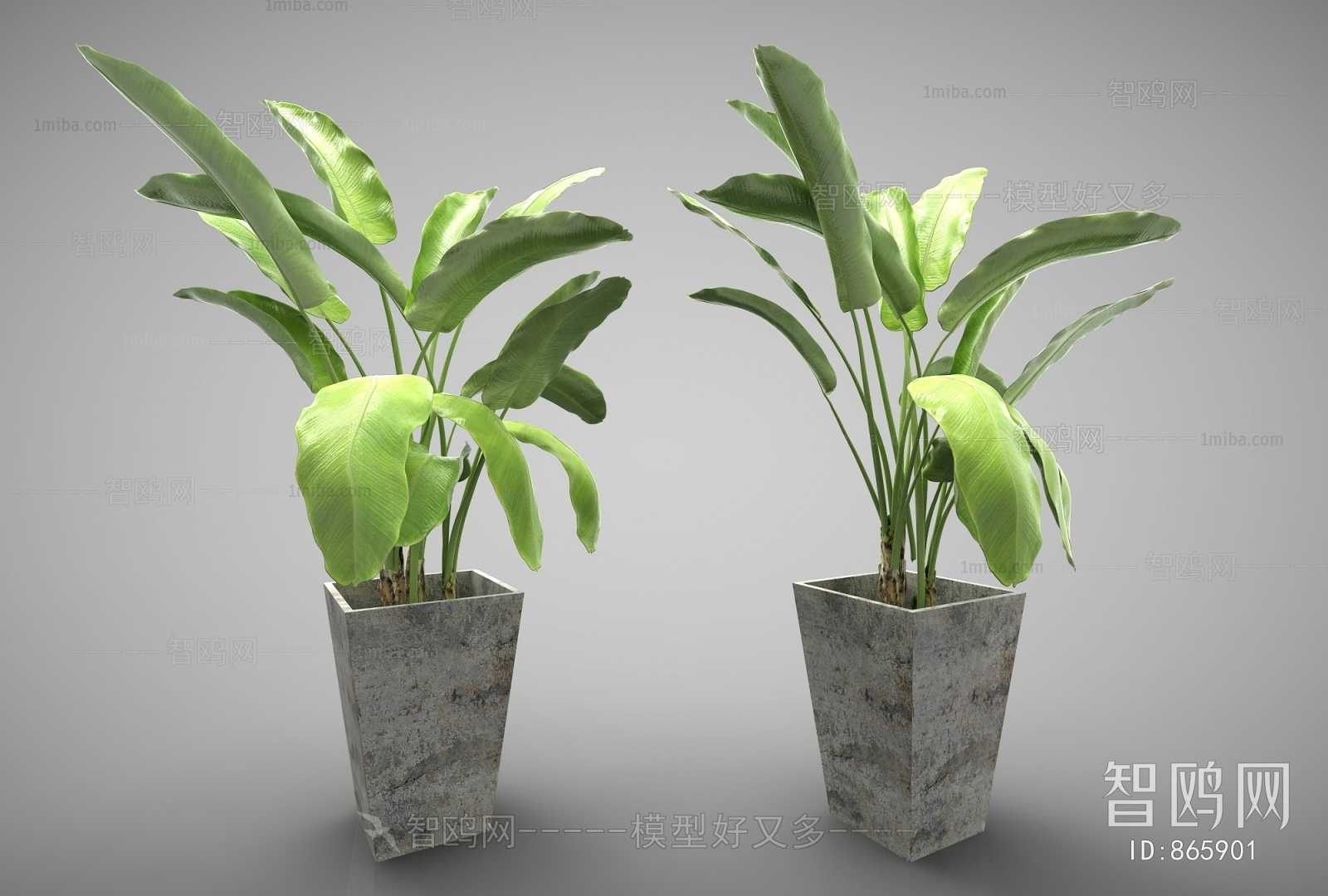 Modern Potted Green Plant