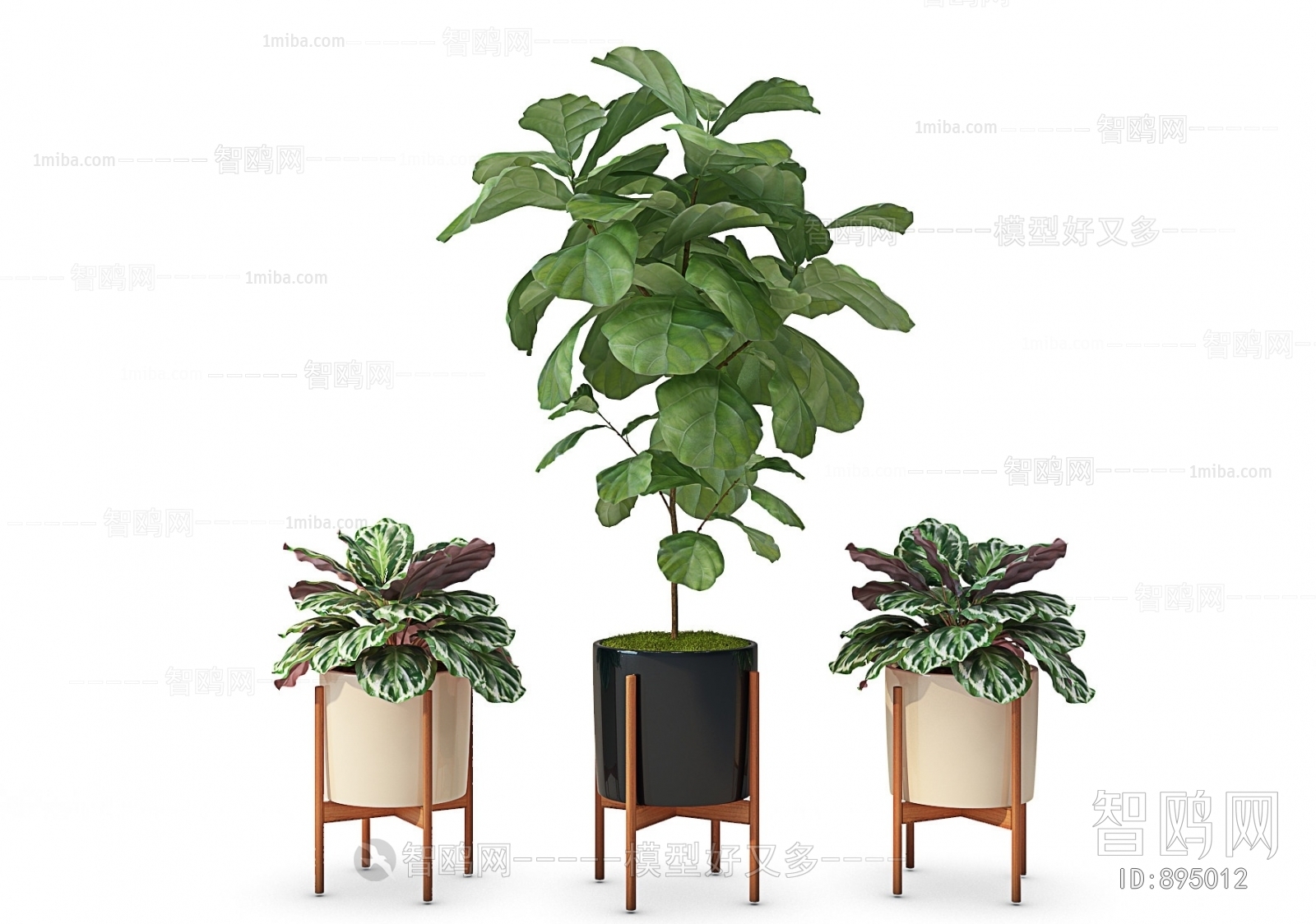 Modern Potted Green Plant