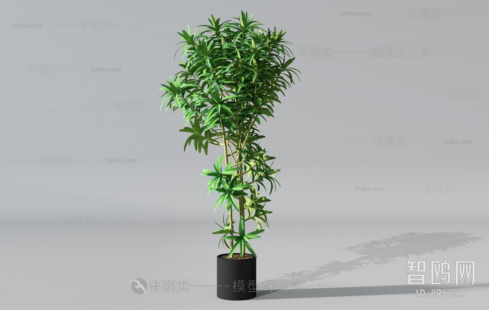 Modern Potted Green Plant