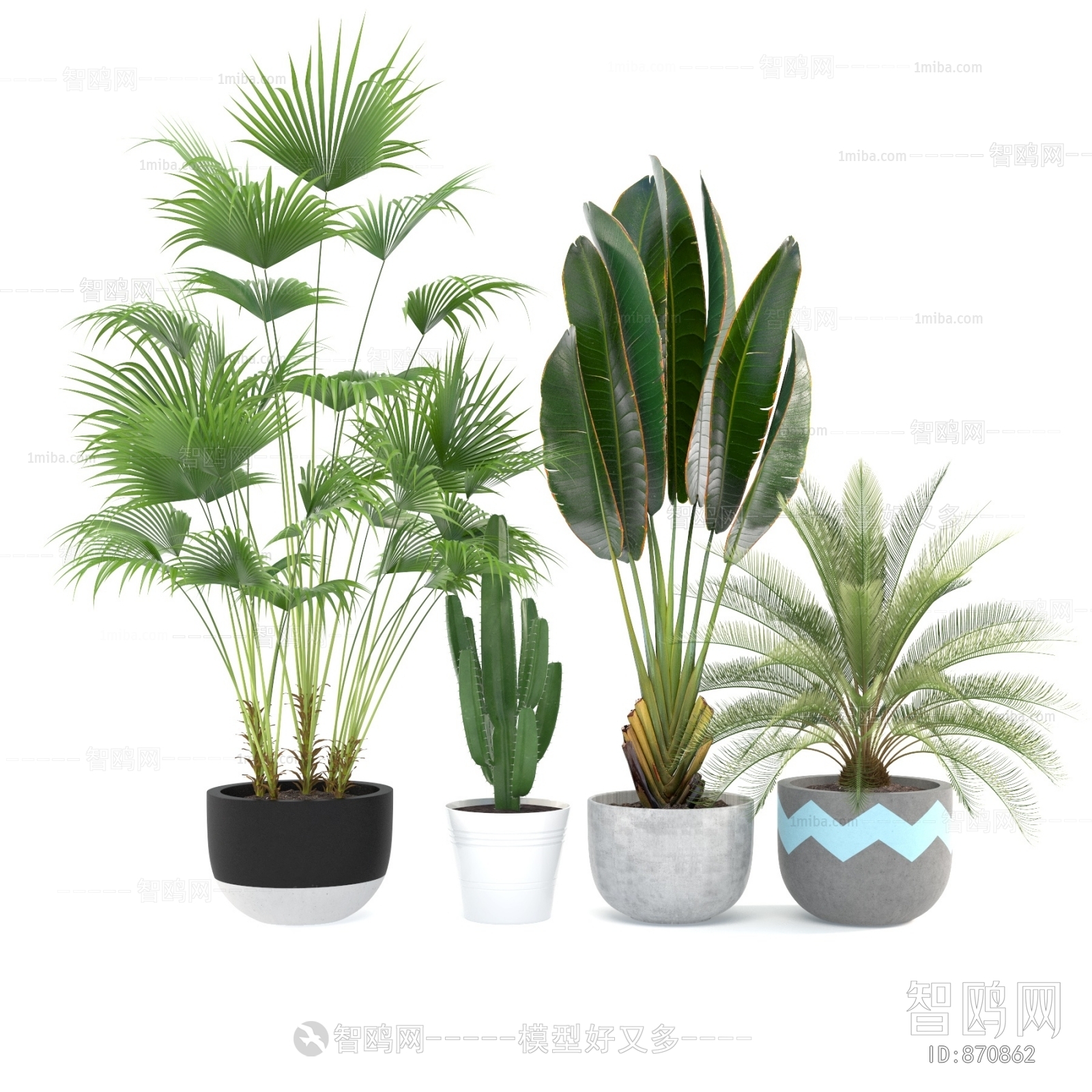 Modern Potted Green Plant