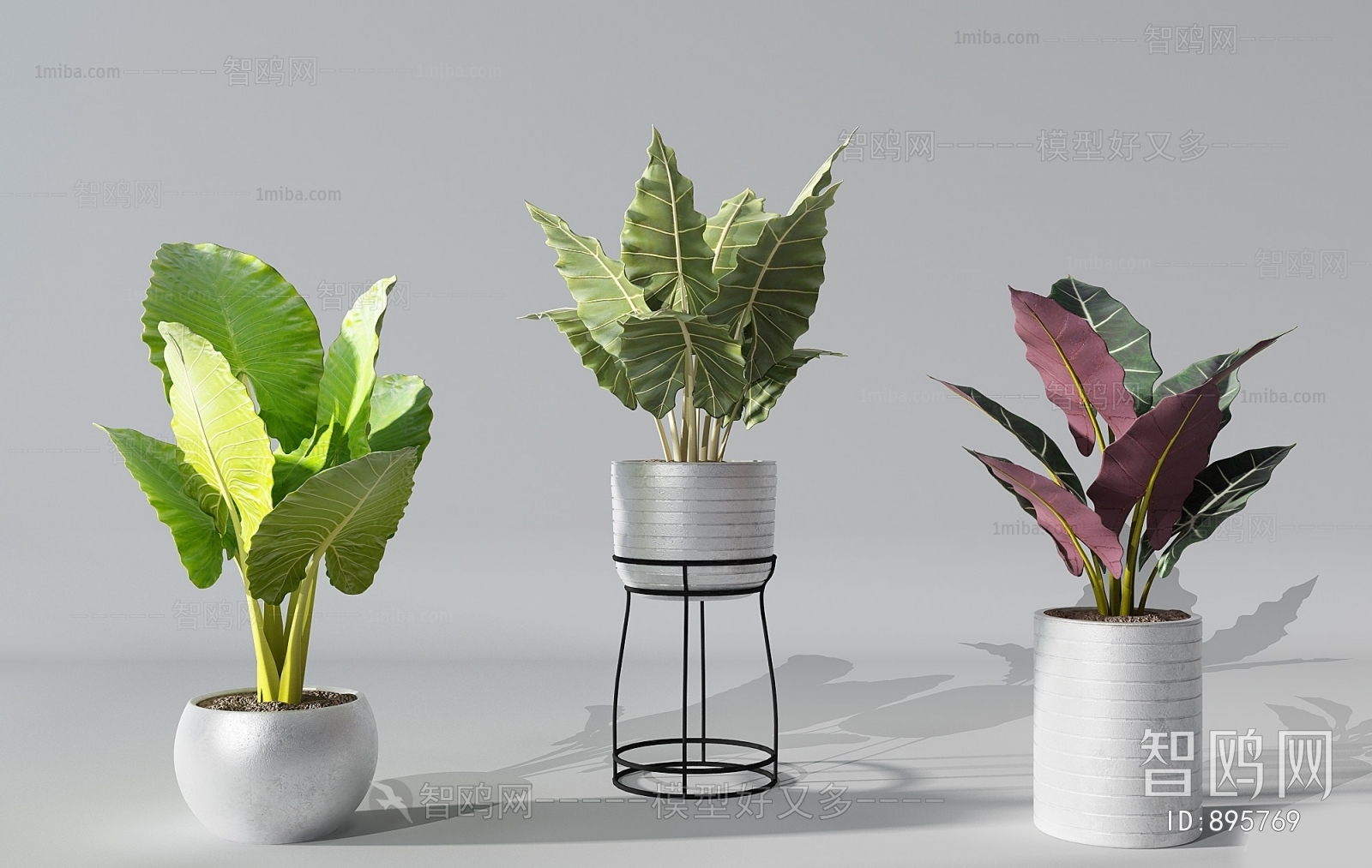 Modern Potted Green Plant