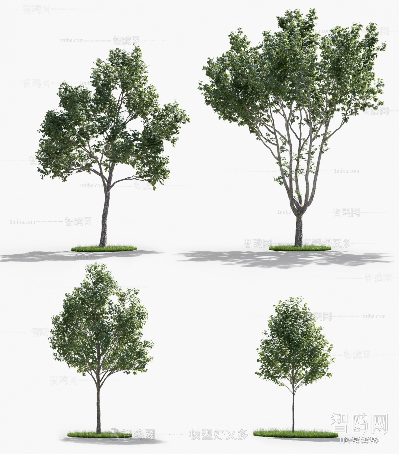 Modern Tree