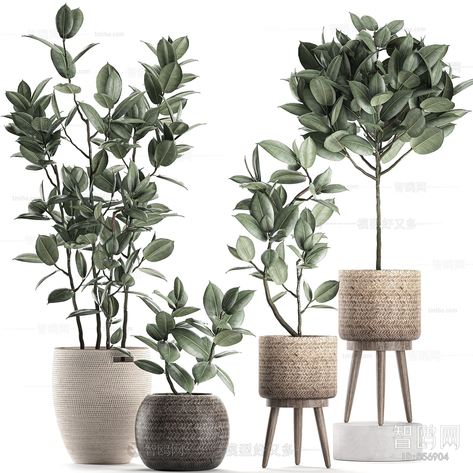 Modern Potted Green Plant