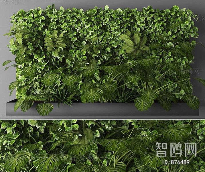 现代植物墙