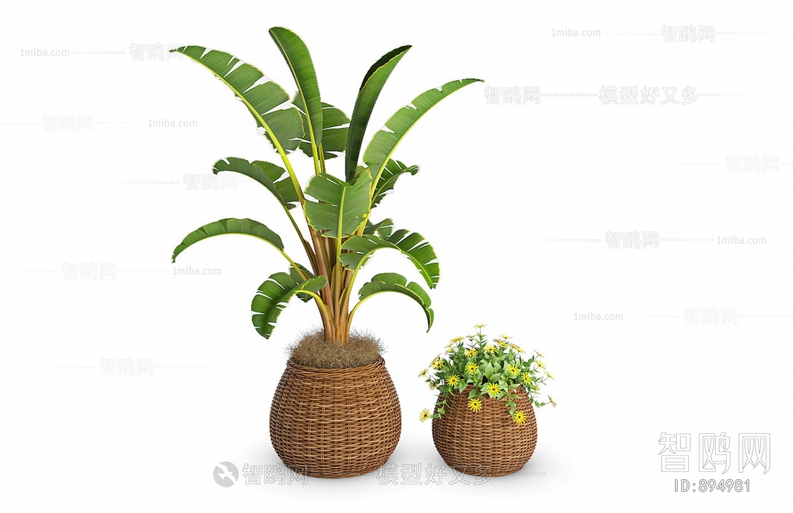 Modern Potted Green Plant