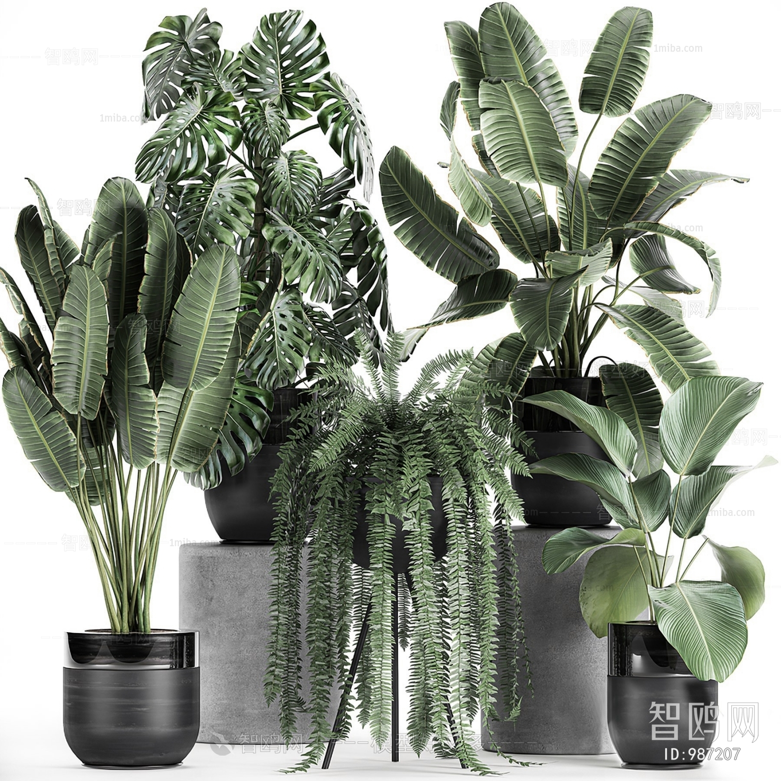 Modern Potted Green Plant