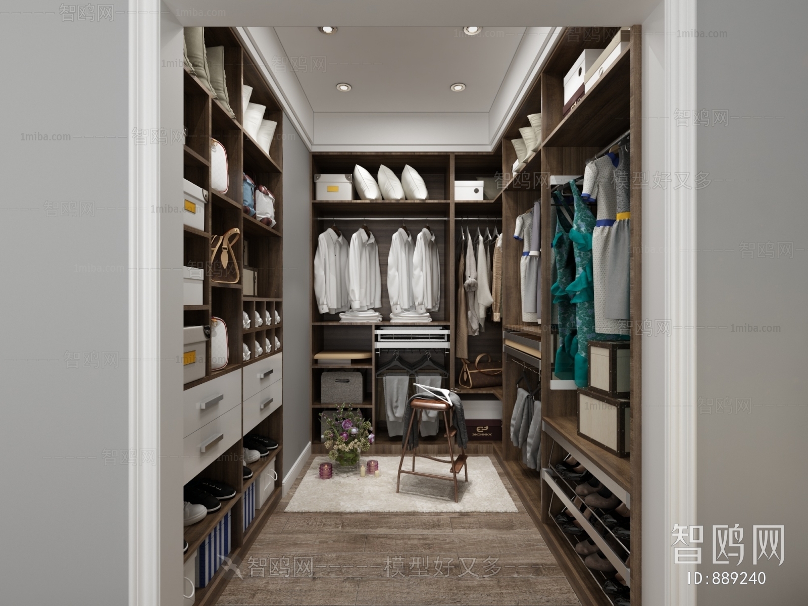 Modern Clothes Storage Area