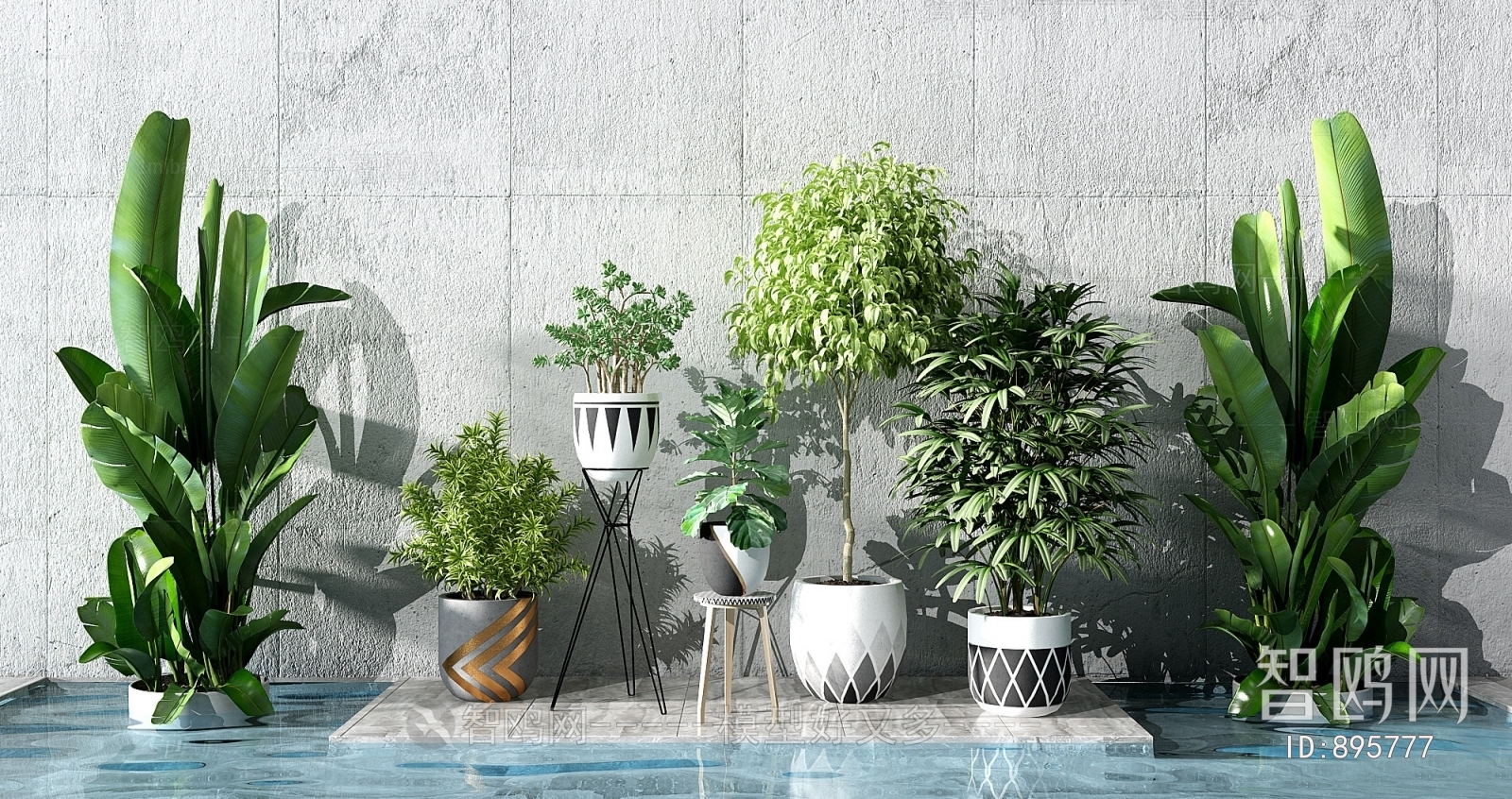 Modern Potted Green Plant