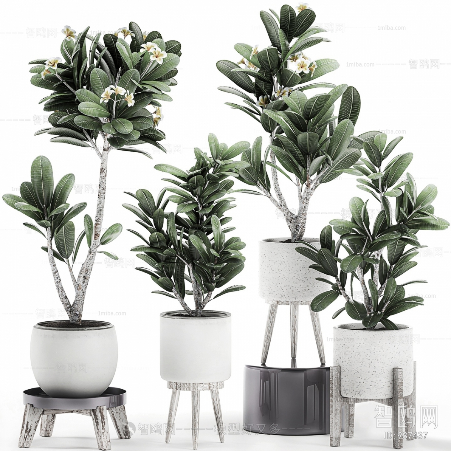 Modern Potted Green Plant