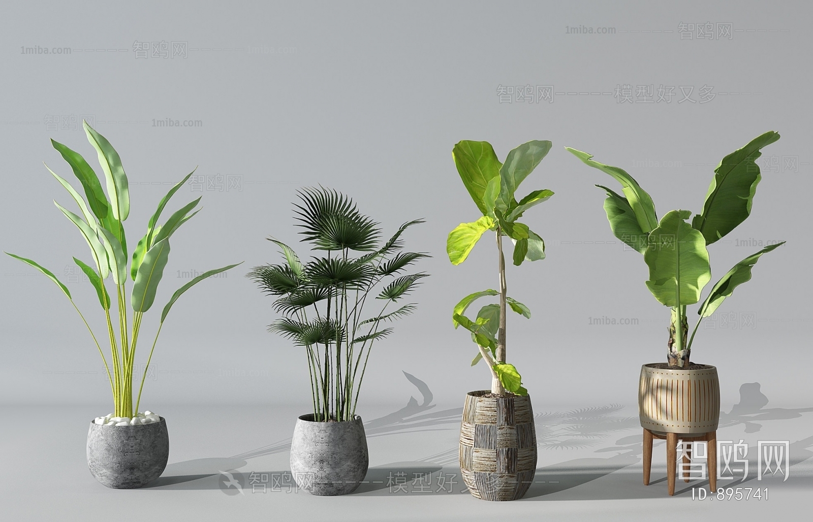 Modern Potted Green Plant