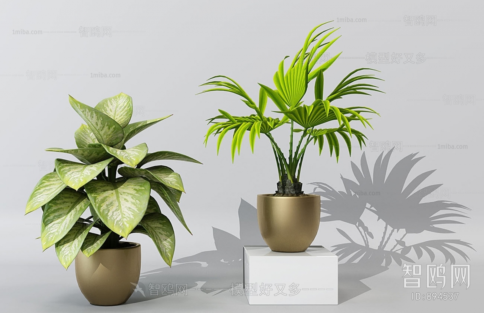 Modern Potted Green Plant