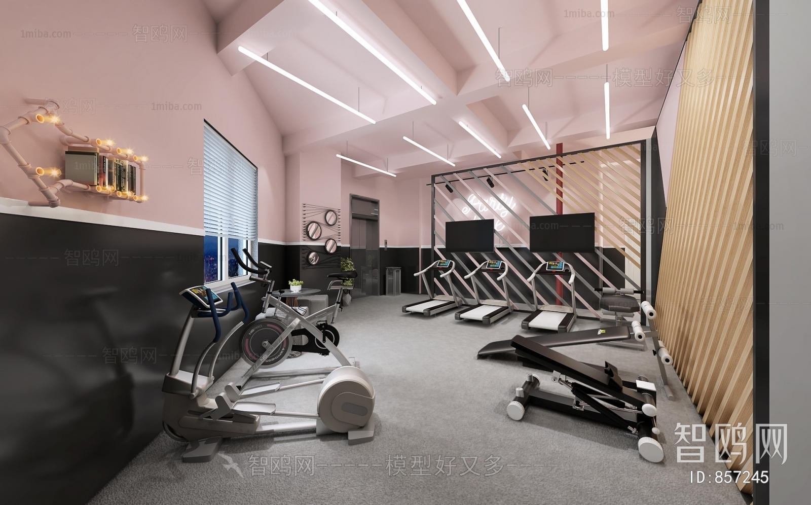 Modern Gym