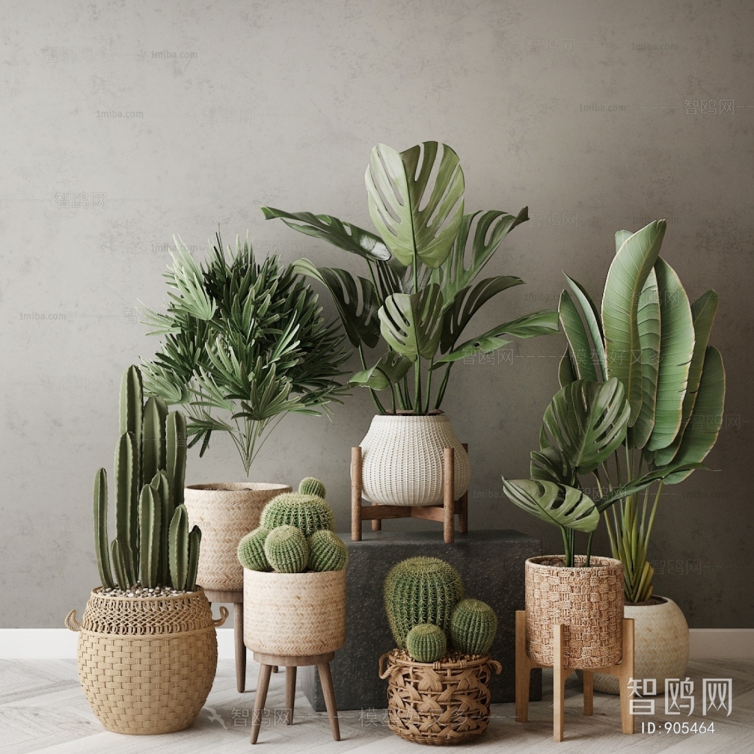 Modern Potted Green Plant