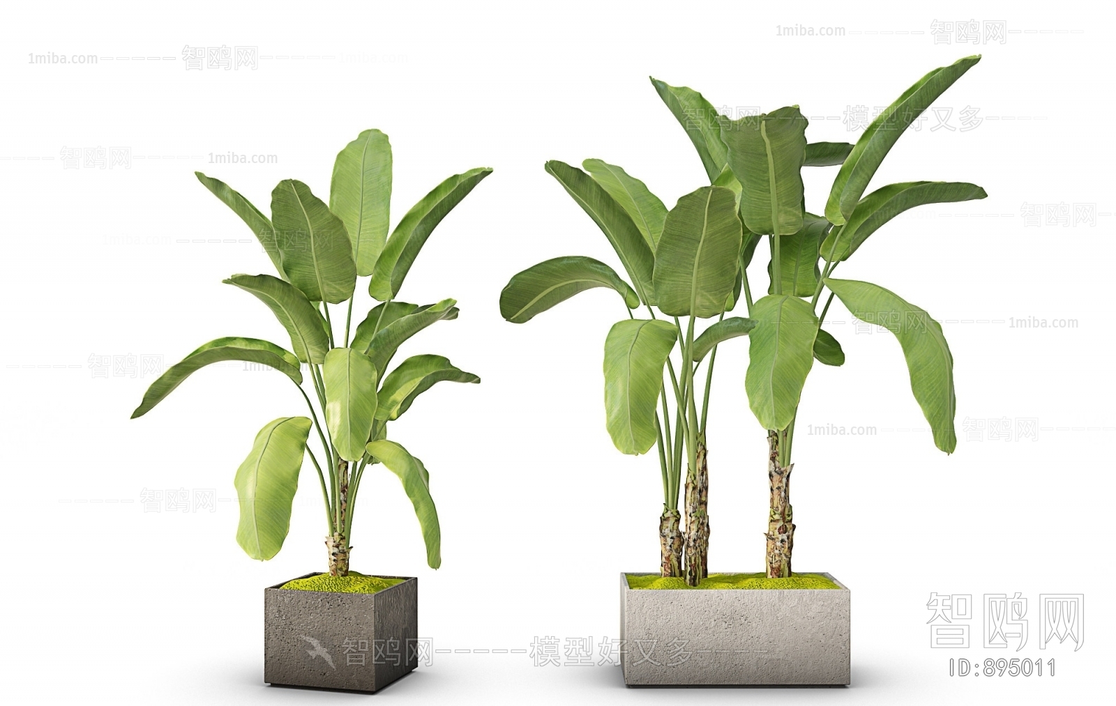 Modern Potted Green Plant