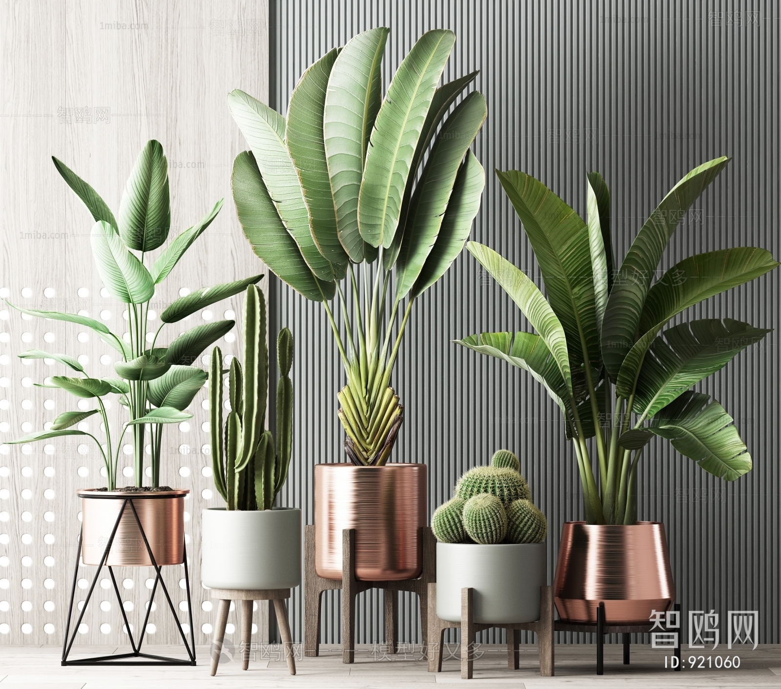 Modern Potted Green Plant