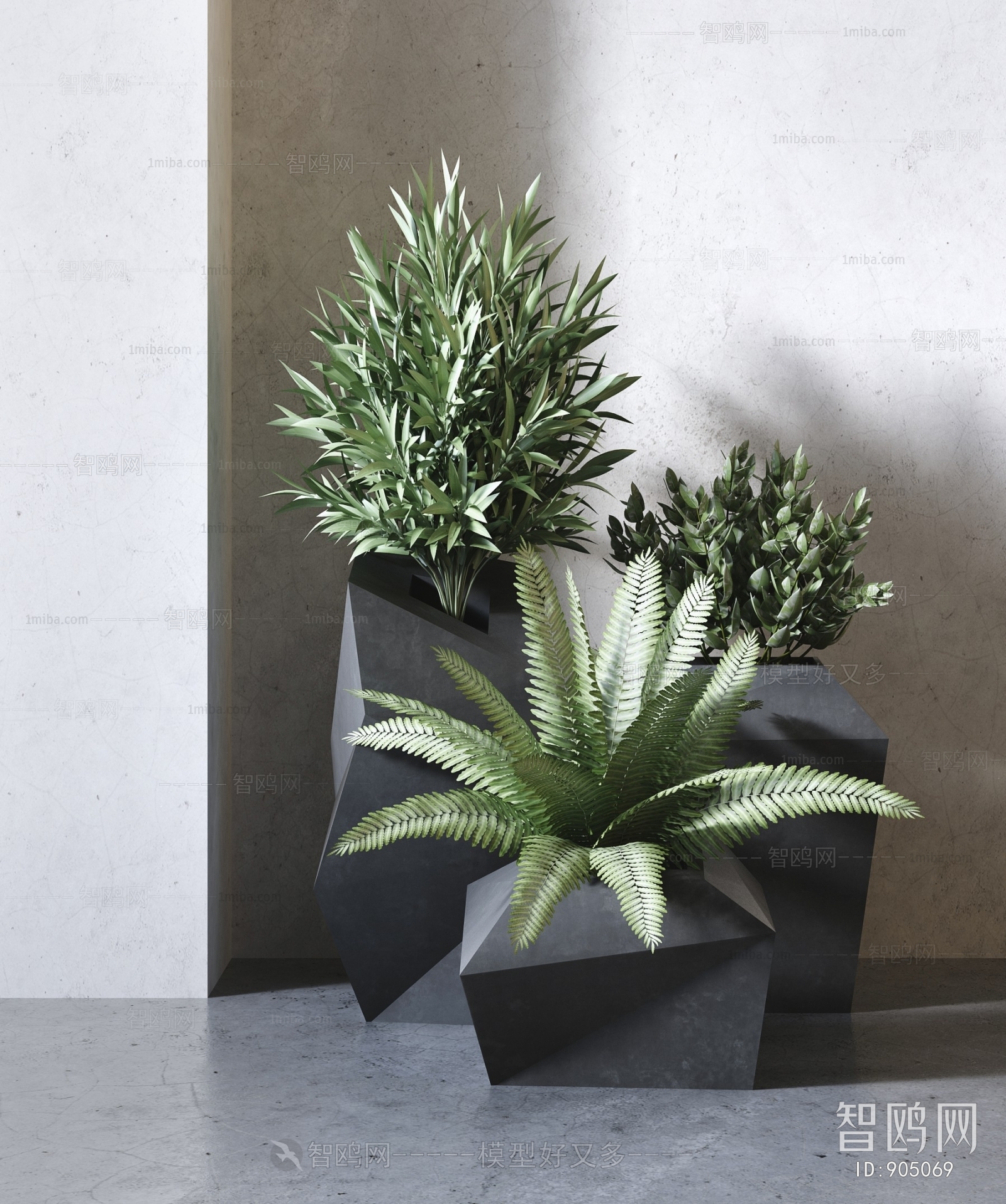 Modern Potted Green Plant