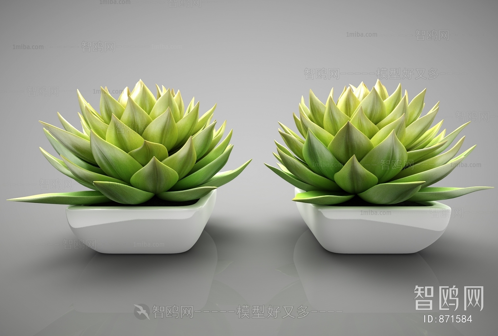 Modern Potted Green Plant