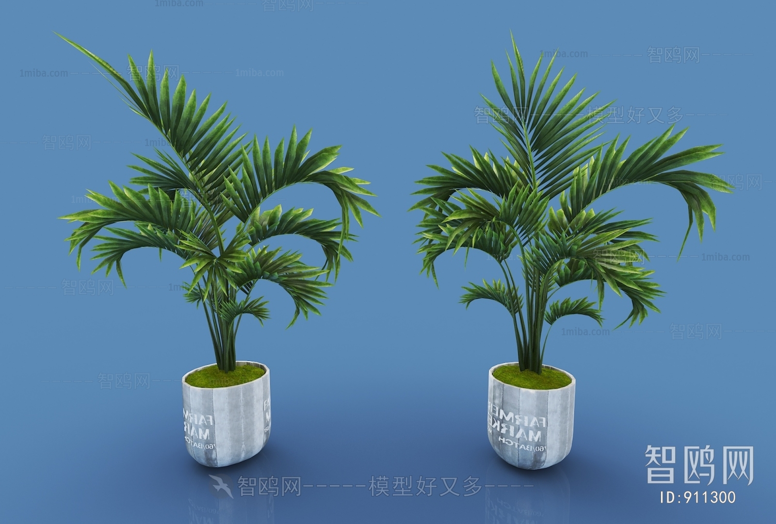 Modern Potted Green Plant