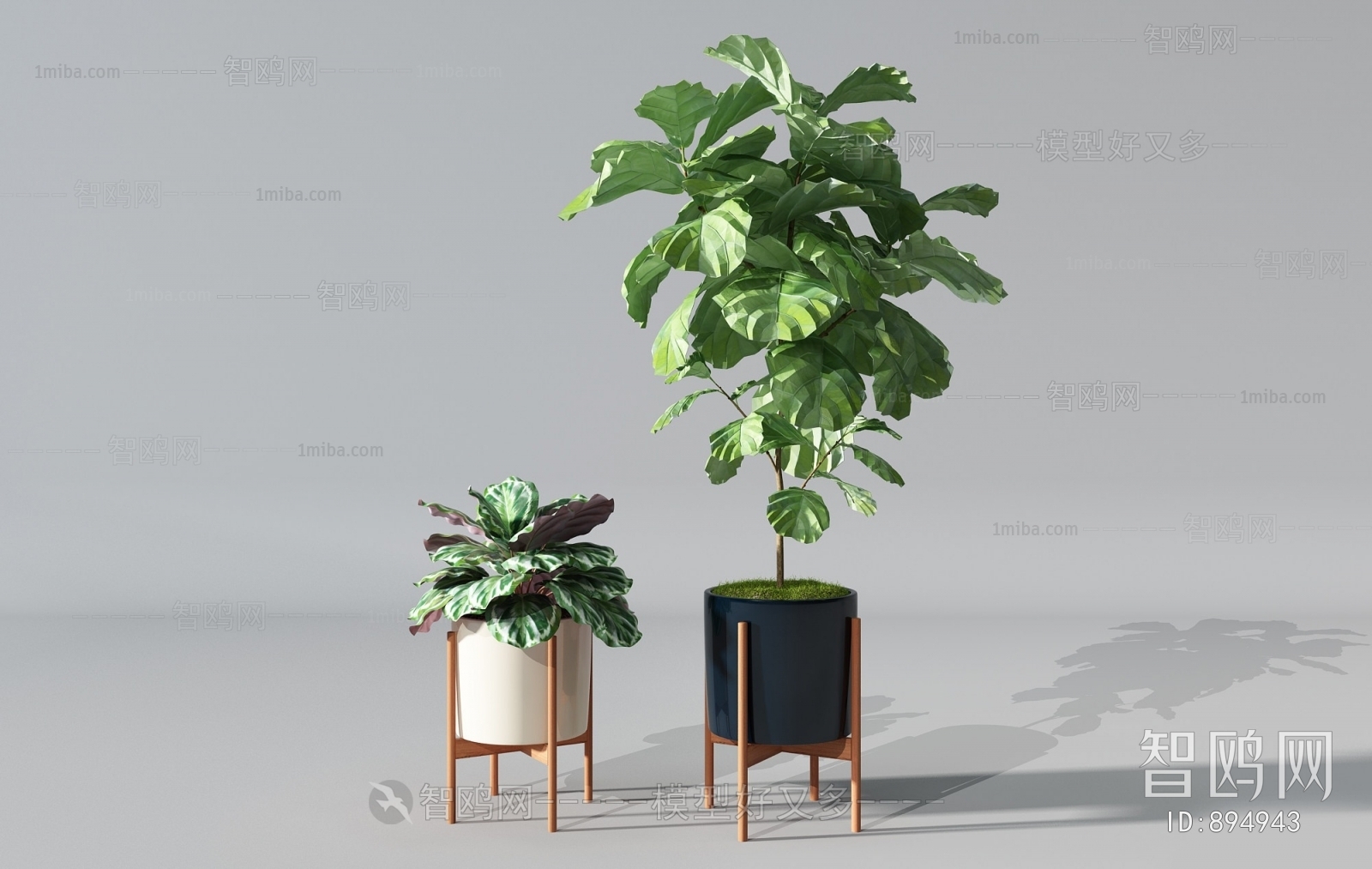 Modern Potted Green Plant