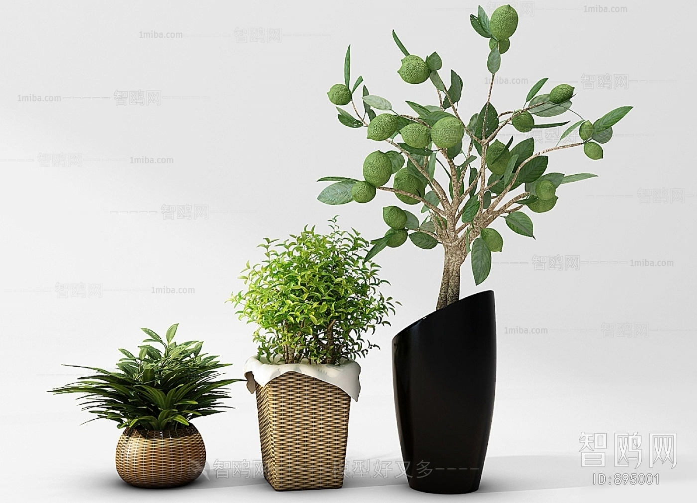 Modern Potted Green Plant