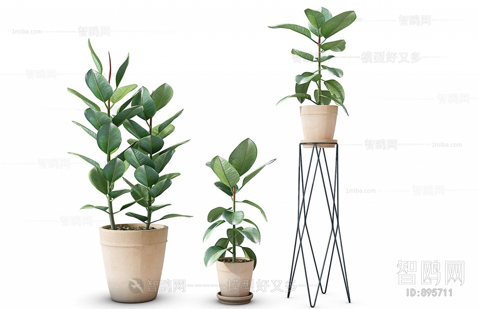 Modern Potted Green Plant