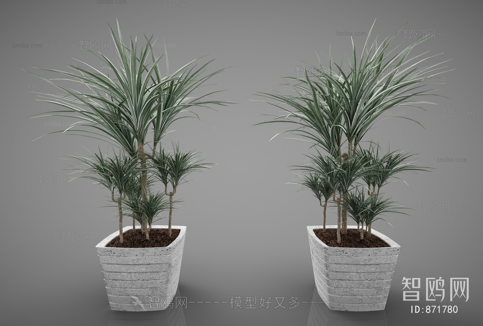 Modern Potted Green Plant