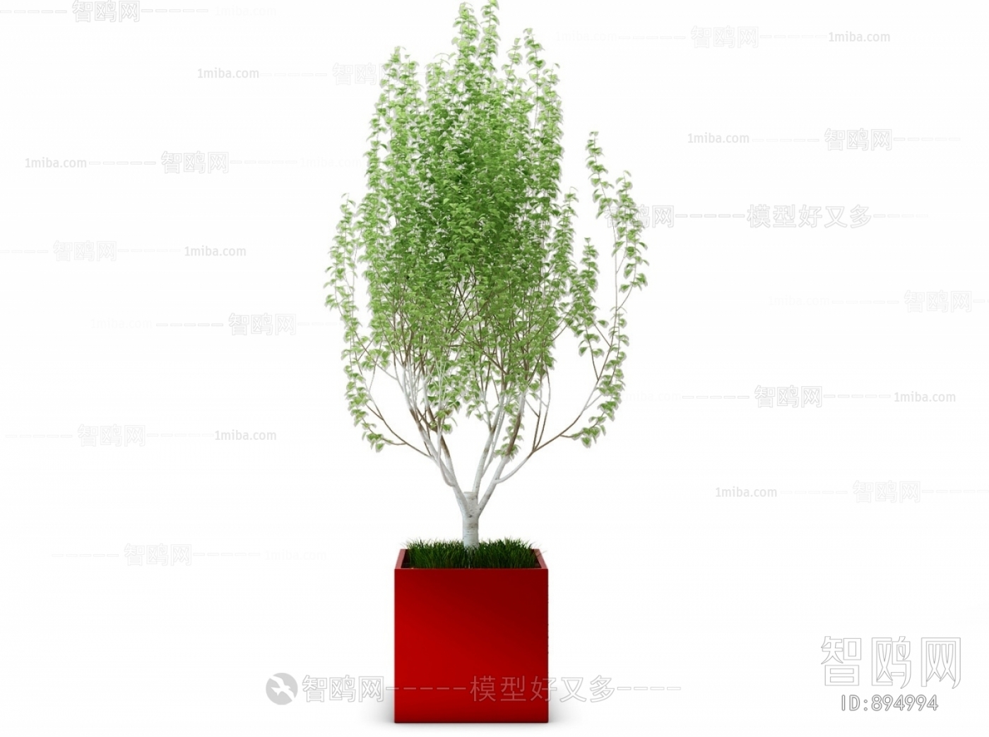 Modern Potted Green Plant