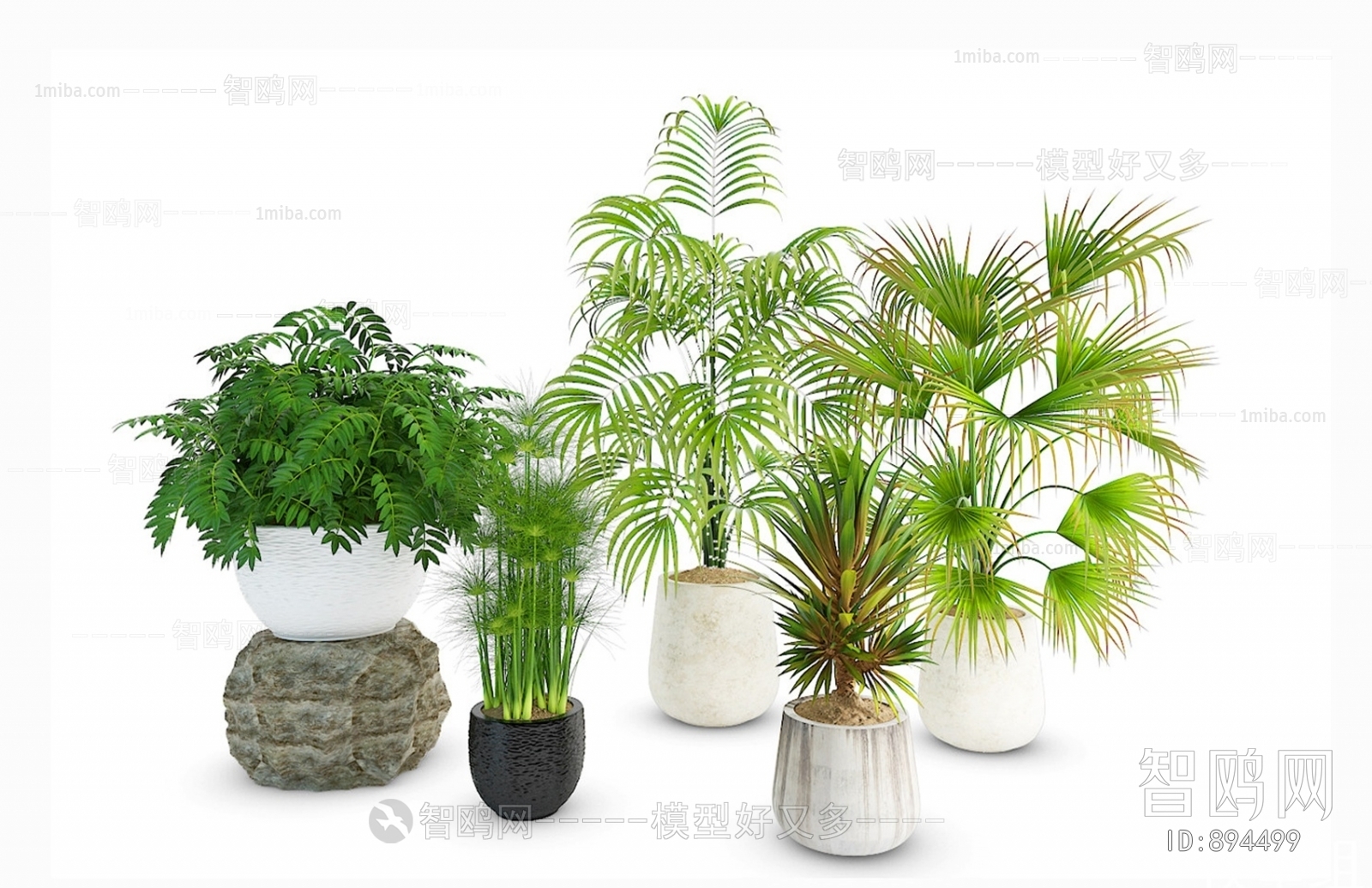 Modern Potted Green Plant