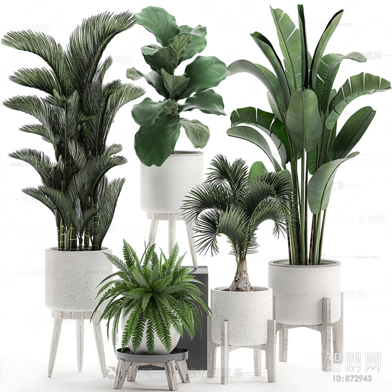 Modern Potted Green Plant