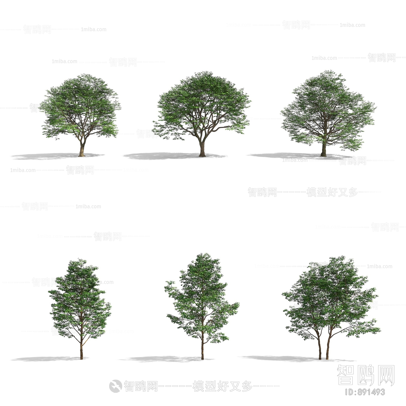 Modern Tree