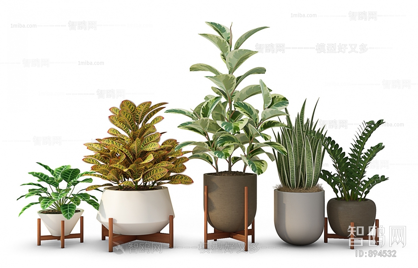 Modern Potted Green Plant