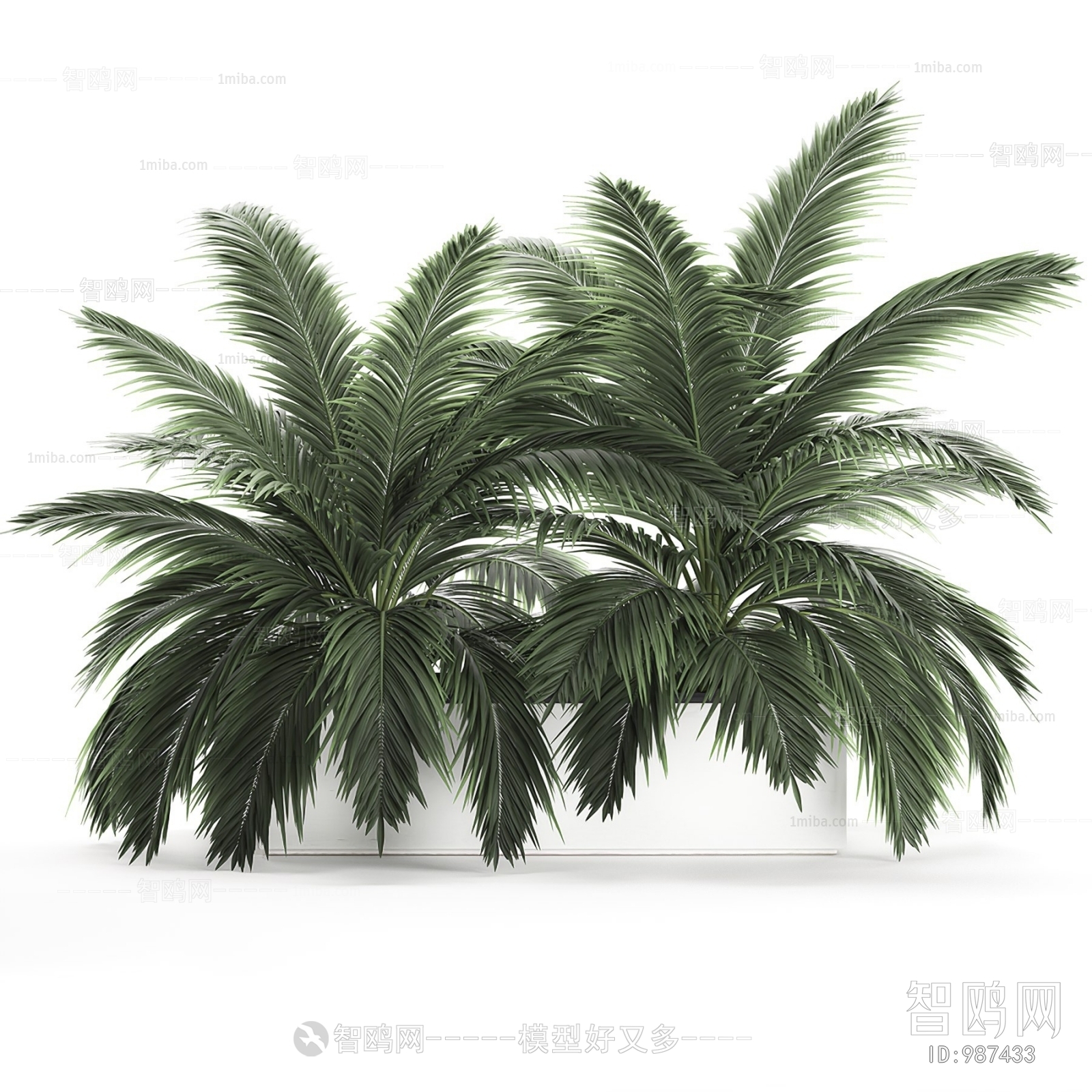 现代绿植盆栽