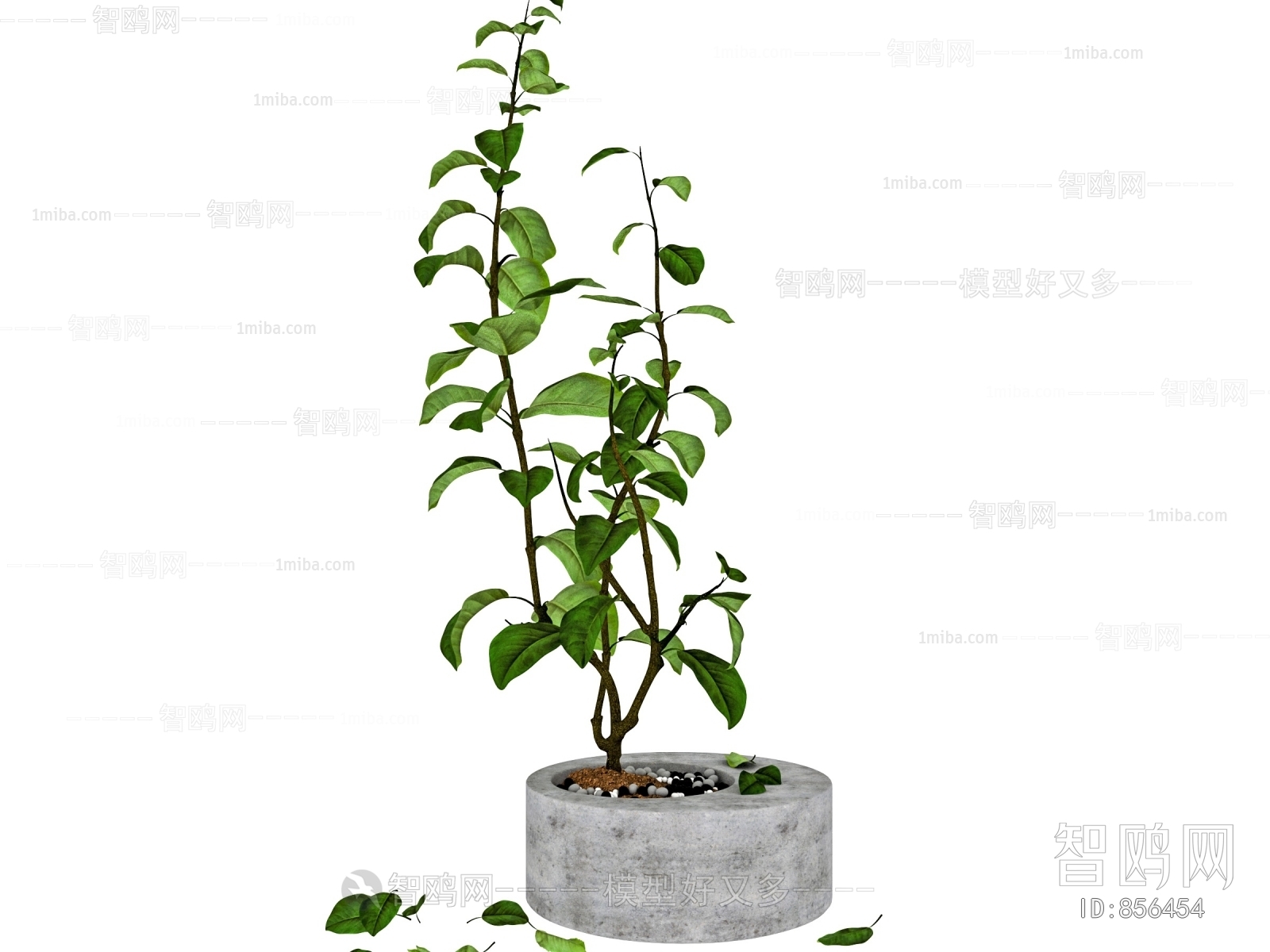 Modern Potted Green Plant